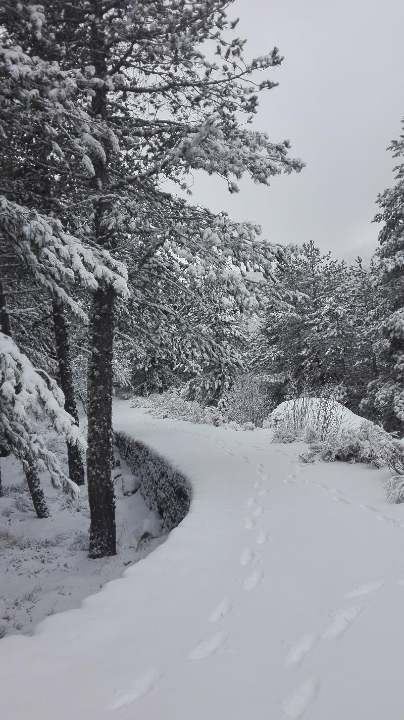 Pousada Da Serra Da Estrela Covilhã Exterior foto